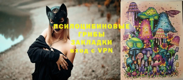 таблы Надым