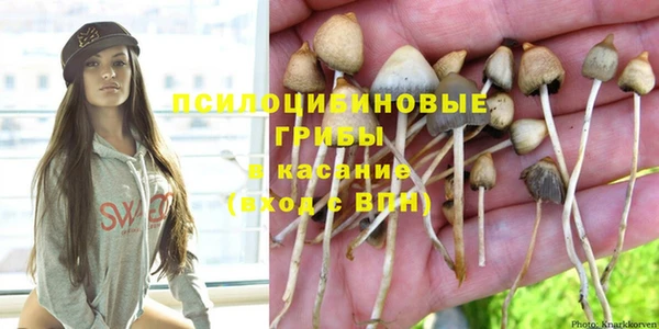 ПСИЛОЦИБИНОВЫЕ ГРИБЫ Нея