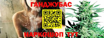 дмт Кинель