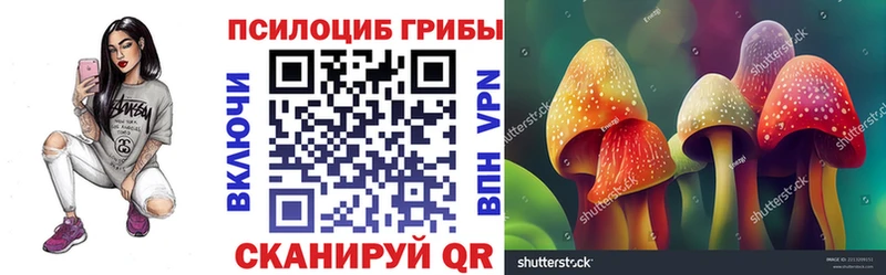 Псилоцибиновые грибы прущие грибы  Нижневартовск 