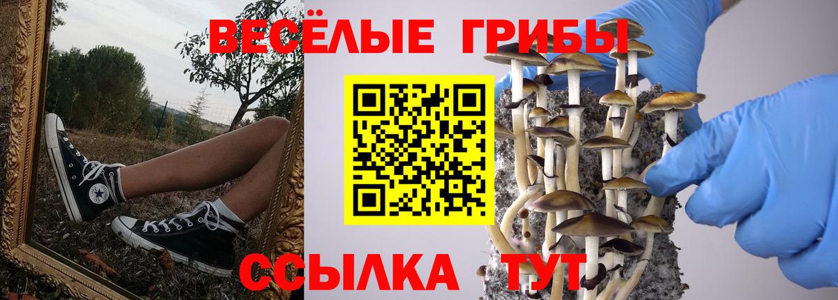 Галлюциногенные грибы мицелий  Вход с VPN  Псилоцибиновые грибы мухоморы  Нижневартовск 